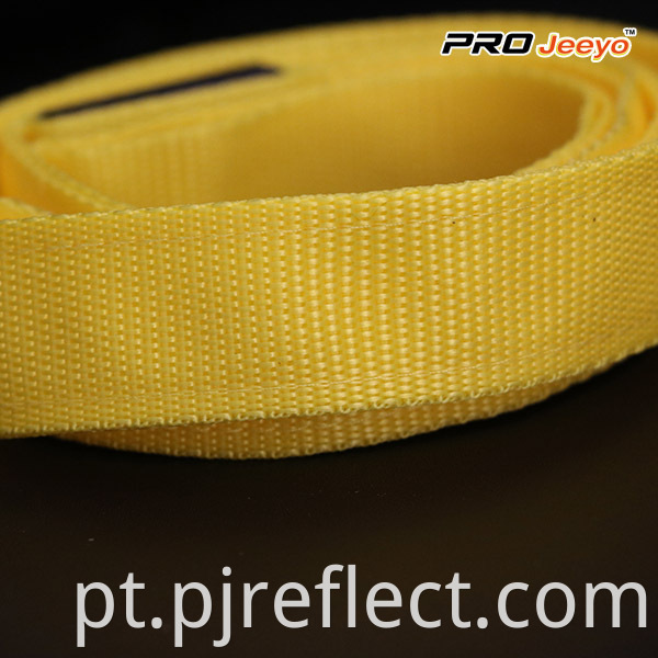 High Visibility Safety Reflectivepets Leashessvp Zd004